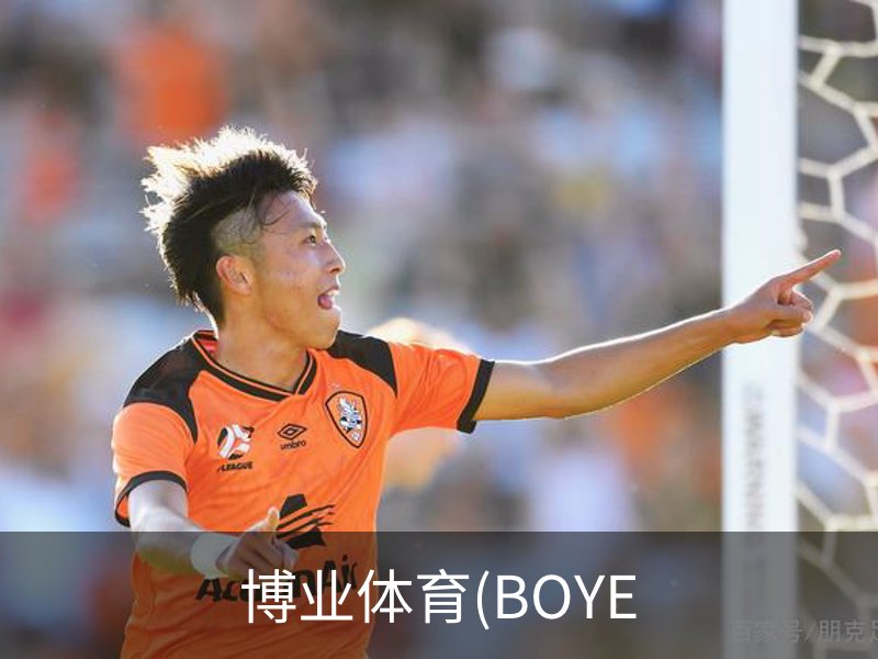 博业体育(BOYE介绍